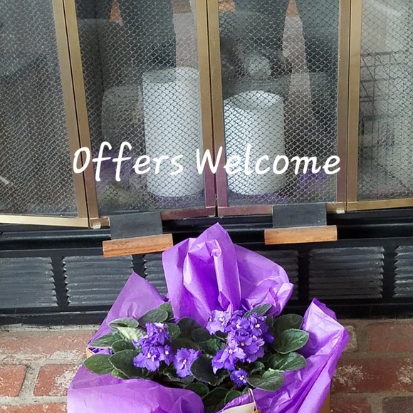 All reasonable offers welcome - Picture 1 of 1